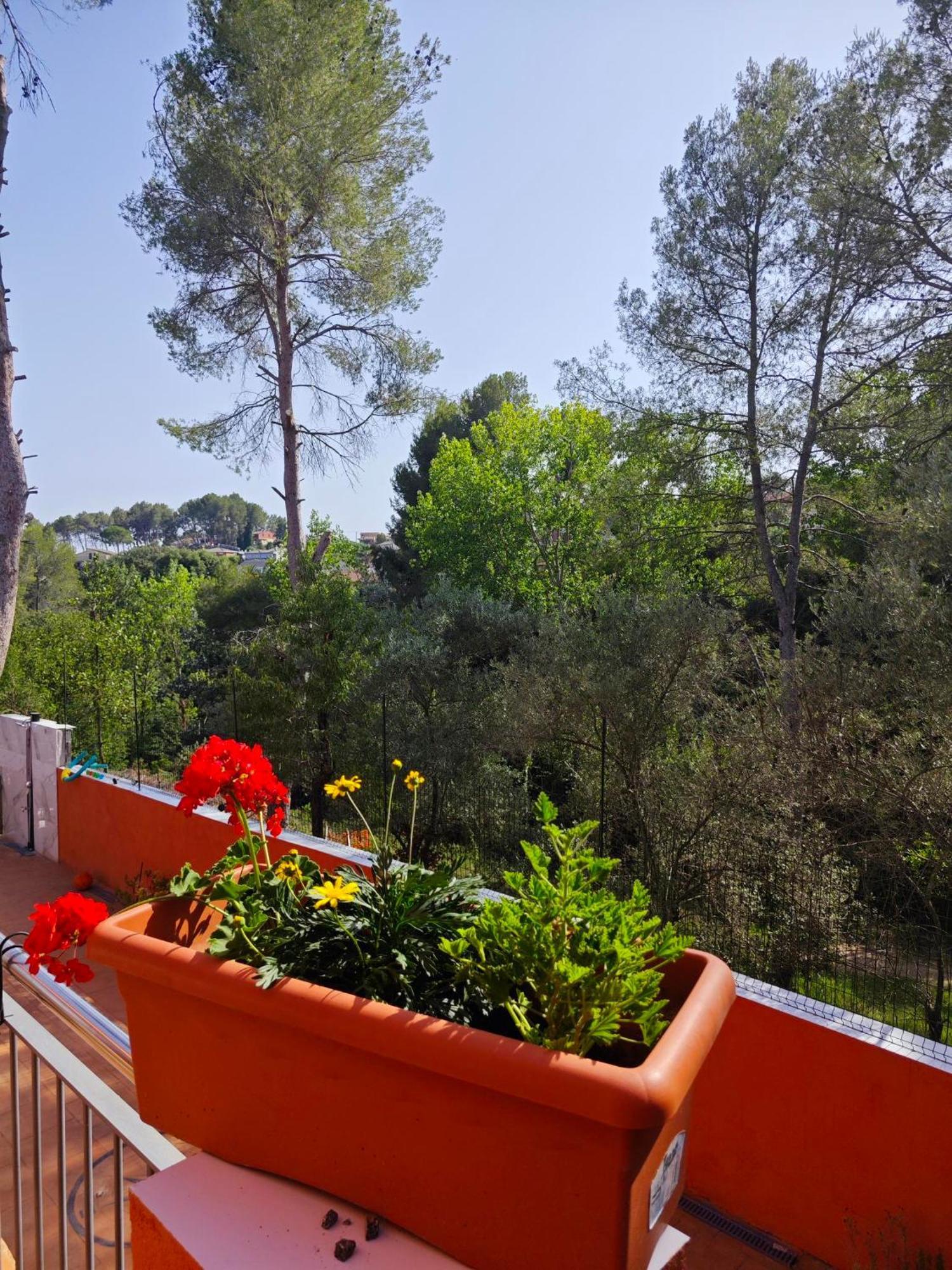 Relax House Barcelone Villa Sant Esteve Sesrovires Eksteriør billede